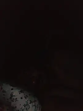 tvmmenのウェブカメラショー