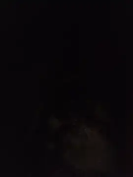 Sexxoophone 在線直播表演