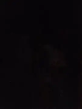 Sexxoophone webcam show
