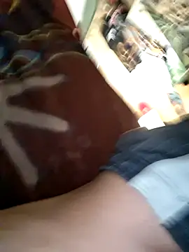 Toycockhotn Webbikameraesitys