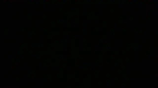 NuttyProfesirn Webbikameraesitys