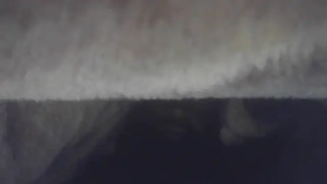 Big_B_Cock_1's Webcam Show