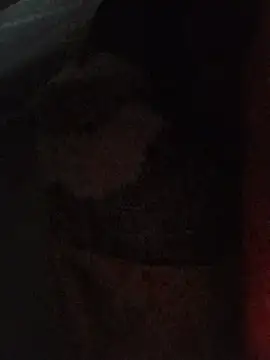 Sexxoophonen Webbikameraesitys