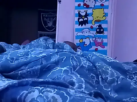 Blkstylionn Webbikameraesitys