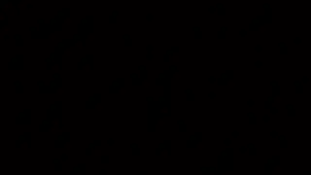 raven_n_matt 网络视讯表演