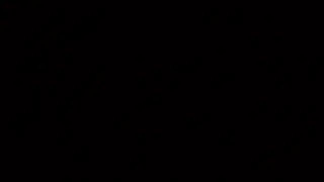 raven_n_mattのウェブカメラショー