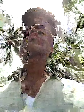 Show webcam de siddu07jot