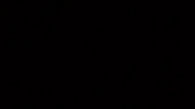 raven_n_mattn Webbikameraesitys