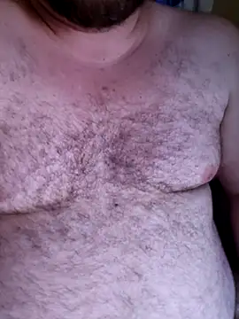 Show de urso_agorasp na webcam