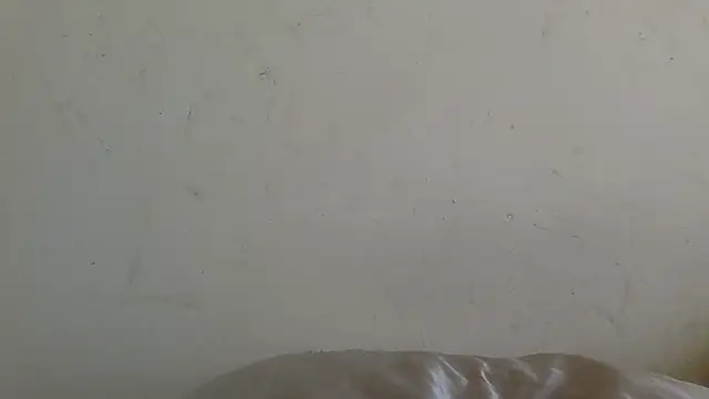 Show webcam de KingNathElite