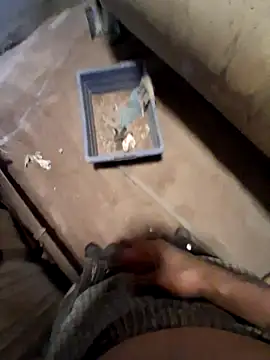 Kloudkocksmoke Show in webcam