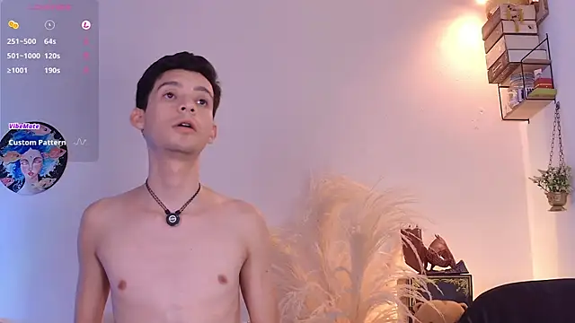 VicenteFerrer webcam show