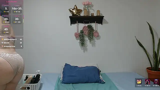 Karlinliveのウェブカメラショー
