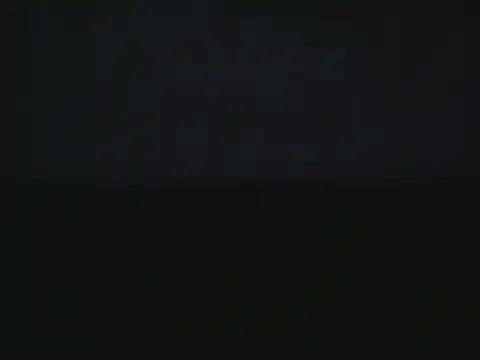 VibrantDick webcam show