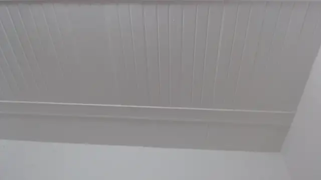 Živý XXX chat ElizabethMiler