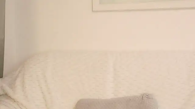 Chat +18 de Sarah4you ao vivo