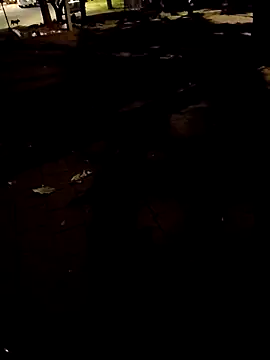 Chat XXX Live FeloBad
