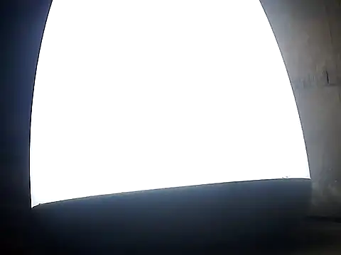 Precumking1 Live XXX-Chat