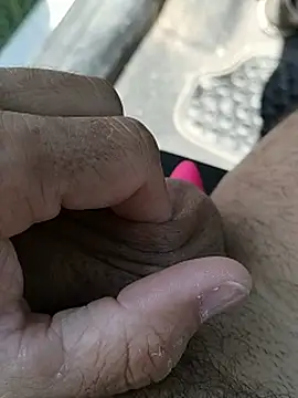 pegaso369 라이브 XXX 채팅
