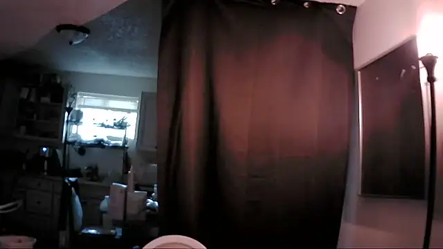 Show Webcam de B4KINC
