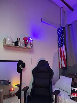 ASHTON_HILSn Webbikameraesitys