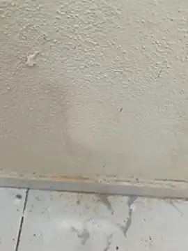Aleeejaaandro: απευθείας συνομιλία ΧΧΧ