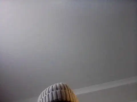 Show de bogbosdick na webcam