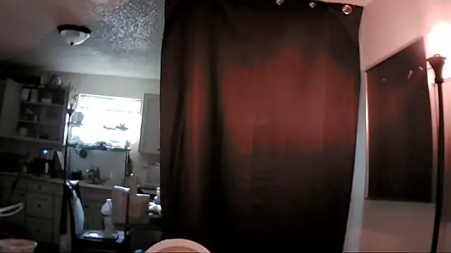 Show Webcam de B4KINC