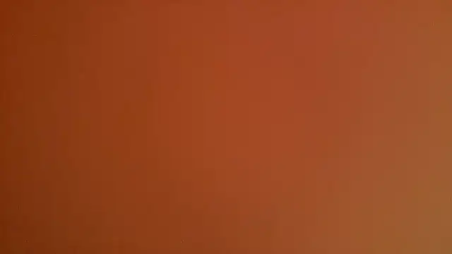Show webcam de miia021