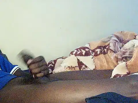 Show webcam de DeepStrokes_