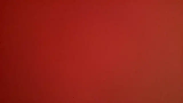 Show webcam de miia021
