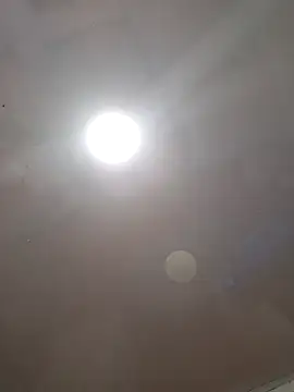 ZaidaWet Chat XXX live