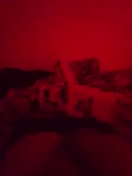 Elsardelsex webcam show