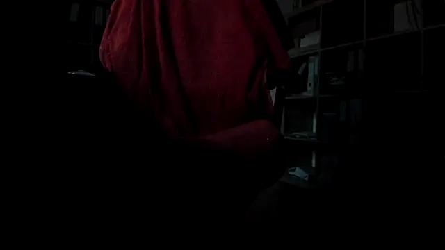 Webkamerová show leccaleccafiga