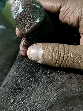 Peterhadly Show Webcam