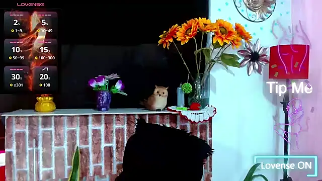 Chat XXX ao vivo de VanessaWolf