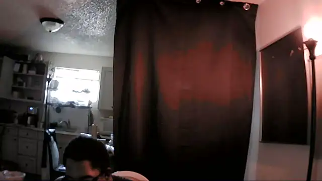 Show webcam de B4KINC