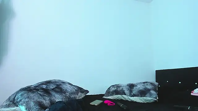 77Neferkitty77 即時 XXX 聊天