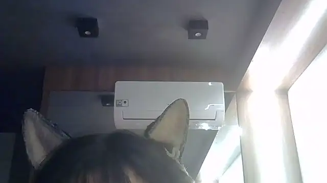 Show de webcam de SkinnyKitten
