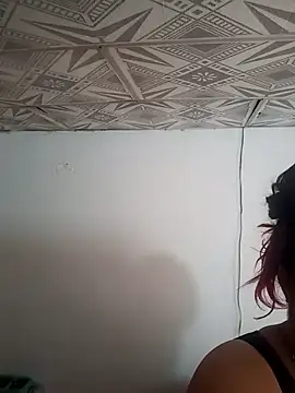 Show webcam de terrymaklein