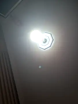 Živý XXX chat regina83