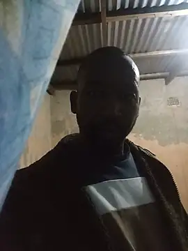Chat XXX en directo de WiseDi