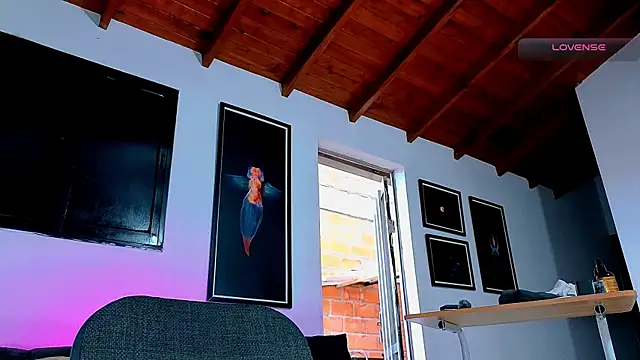 SilvaBranko Adlı Modelin Canlı XXX Sohbeti