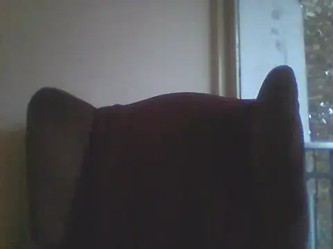 Bebita-zmp's Live XXX Chat