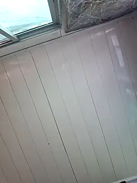 Toycockhot Show Webcam