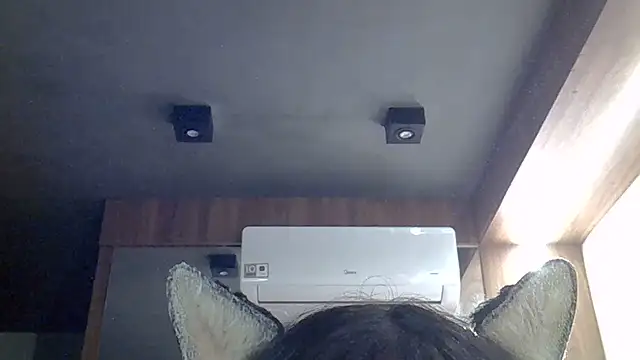 Show de SkinnyKitten na webcam