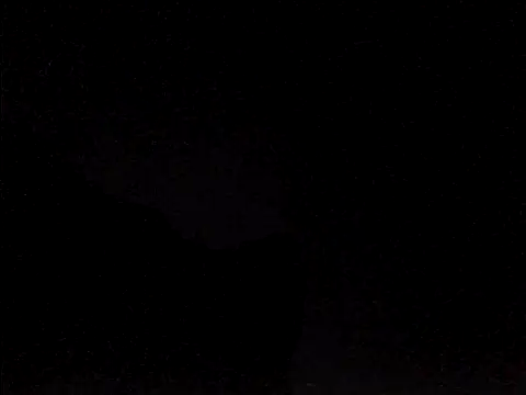 Chat XXX en directo de perlados