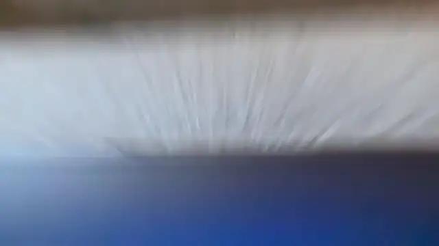 prankcaller's Live XXX Chat