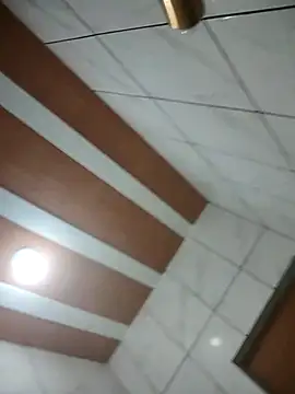 Show de Novin23cms na webcam