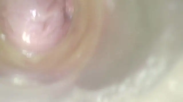 karol_stomn Live XXX chat